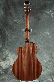 Amazon | Takamine PTU620NC N エレガットギター 600シリーズ